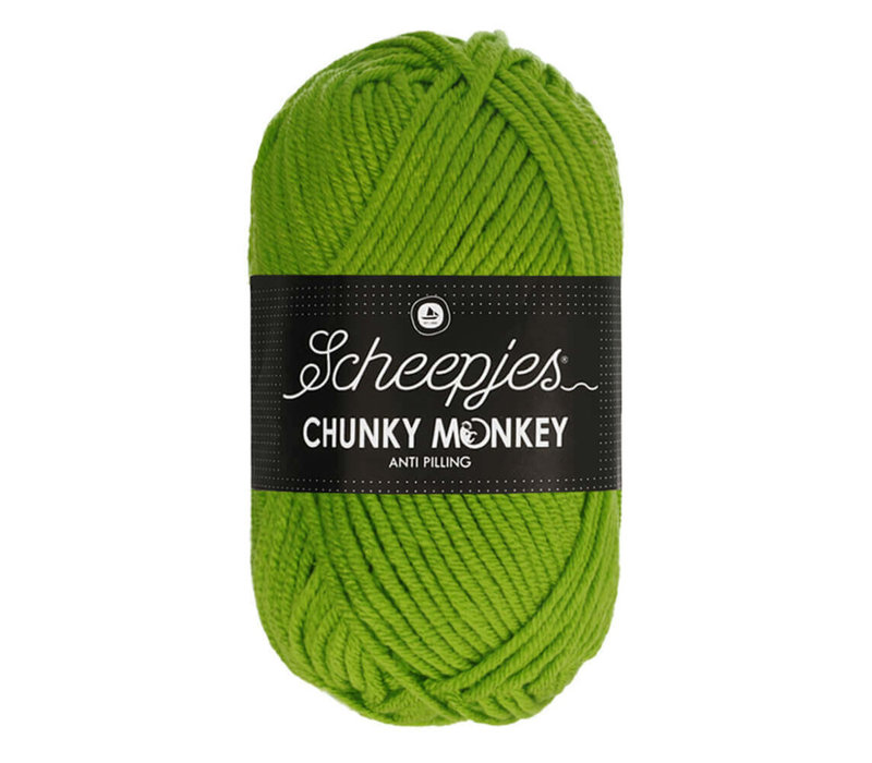 Scheepjes Chunky Monkey - 2016 Fern