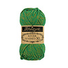 Scheepjes Scheepjes River Washed XL -  973 Po