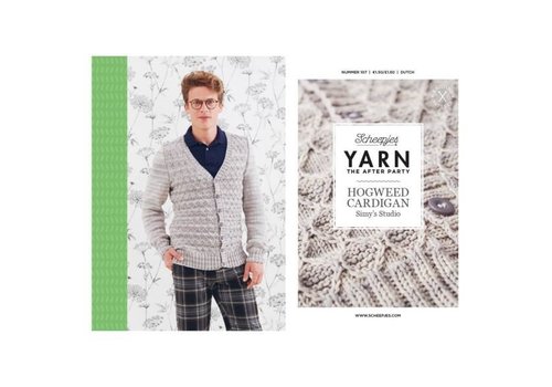 Scheepjes Scheepjes Yarn The After Party nr 107