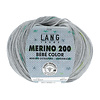 Lang Yarns Lang Yarns Merino 200 Bebe color - 317 - Grijs - Groen