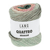 Lang Yarns Lang Yarns Quattro Degrade - 8 - Groen - Oranje