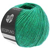 Lana Grossa Ecopuno - 041 Groen - 72% katoen, 17% merinowol en 11% alpaca - Groen