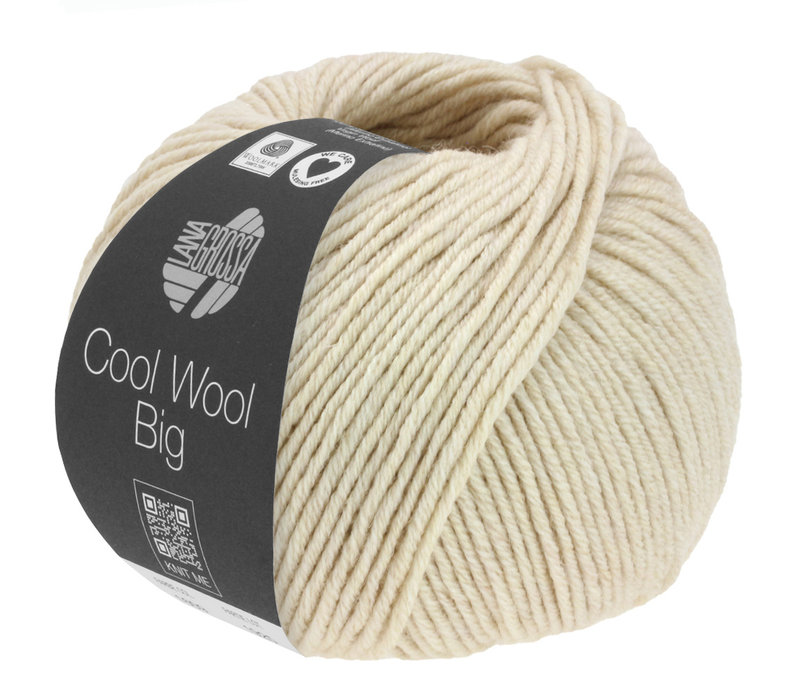 Cool Wool Big Melange 1624