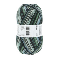 Lang Yarns Super Soxx 4-ply - 400 - Groen