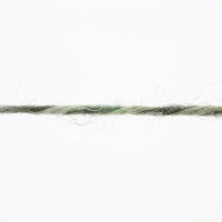 Lang Yarns Wool Addicts Footprints - 4 - Groen