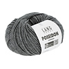 Lang Yarns Poseidon 070 Dark grey