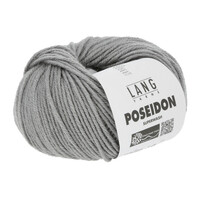 Poseidon 024 Grey