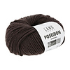 Poseidon 068 Brown