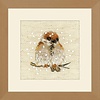Riolis - Sparrow