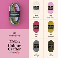 Scheepjes Colour Crafter Parade - 603 Wild Flowers