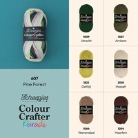Scheepjes Colour Crafter Parade - 607 Pine Forest