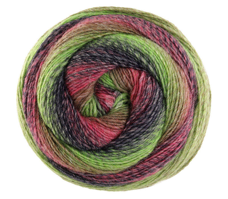 Gomitolo Versione 449