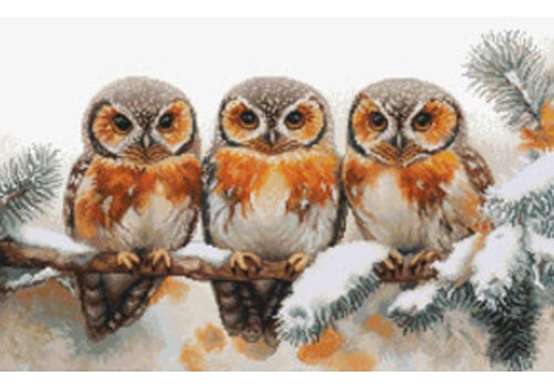 Luca-S Luca-S - Owls in The Silence of Winter