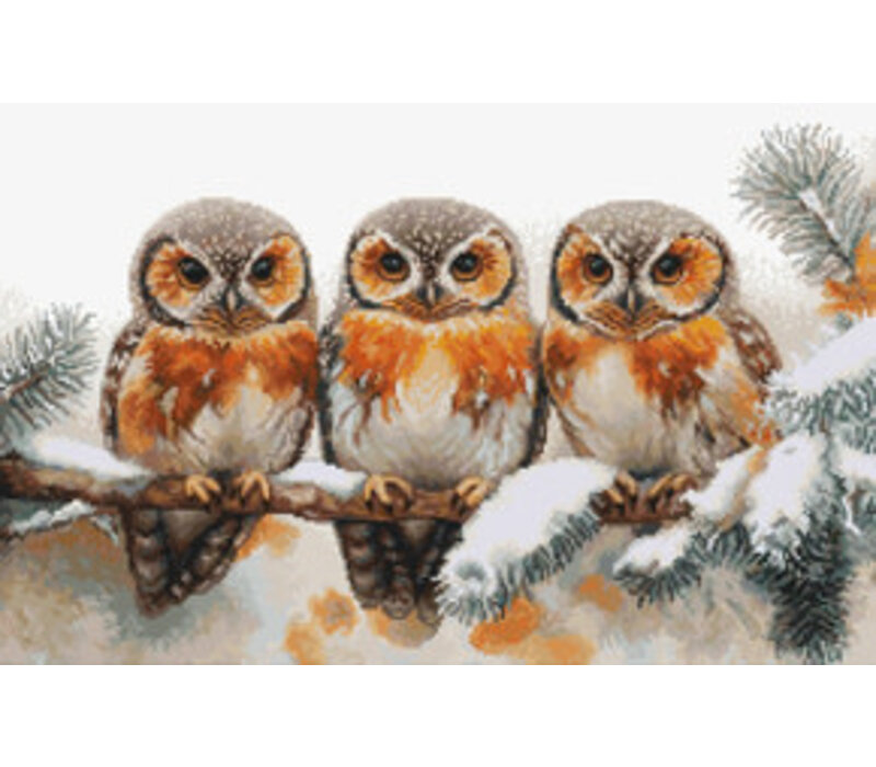 Luca-S - Owls in The Silence of Winter