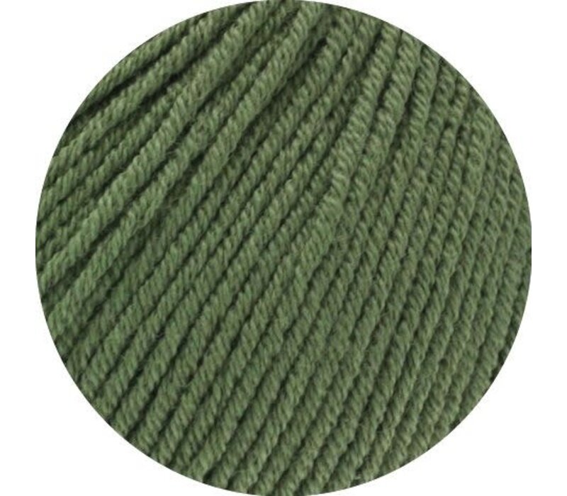 Lana Grossa Elastico 156 - oleandergroen