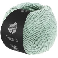 Lana Grossa Elastico 120 - grijsgroen