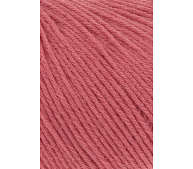 Merino 200 Bebe 365