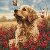 Luca-S - Meeting in the flowering Field