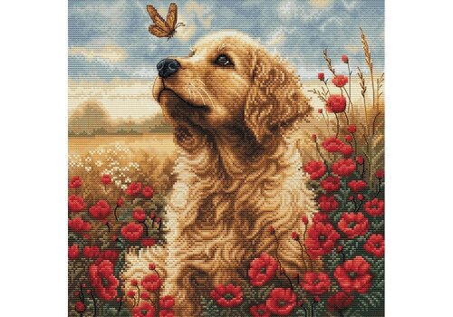 Luca-S Luca-S - Meeting in the flowering Field