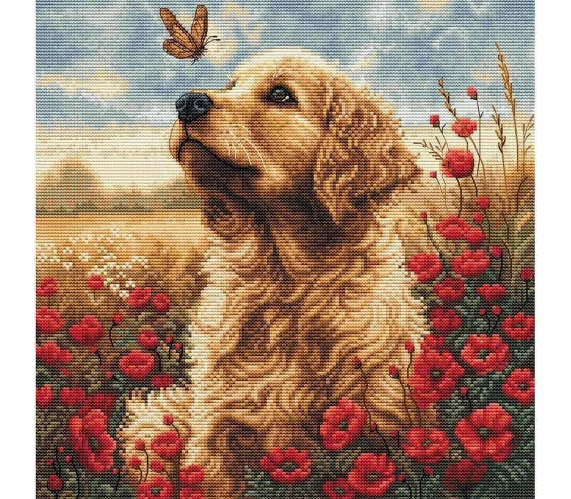 Luca-S - Meeting in the flowering Field