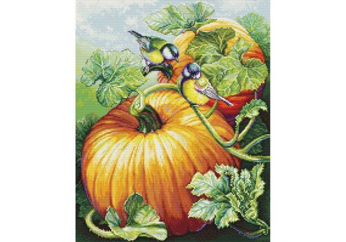 Luca-S Luca-S - Birdies on Pumpkin