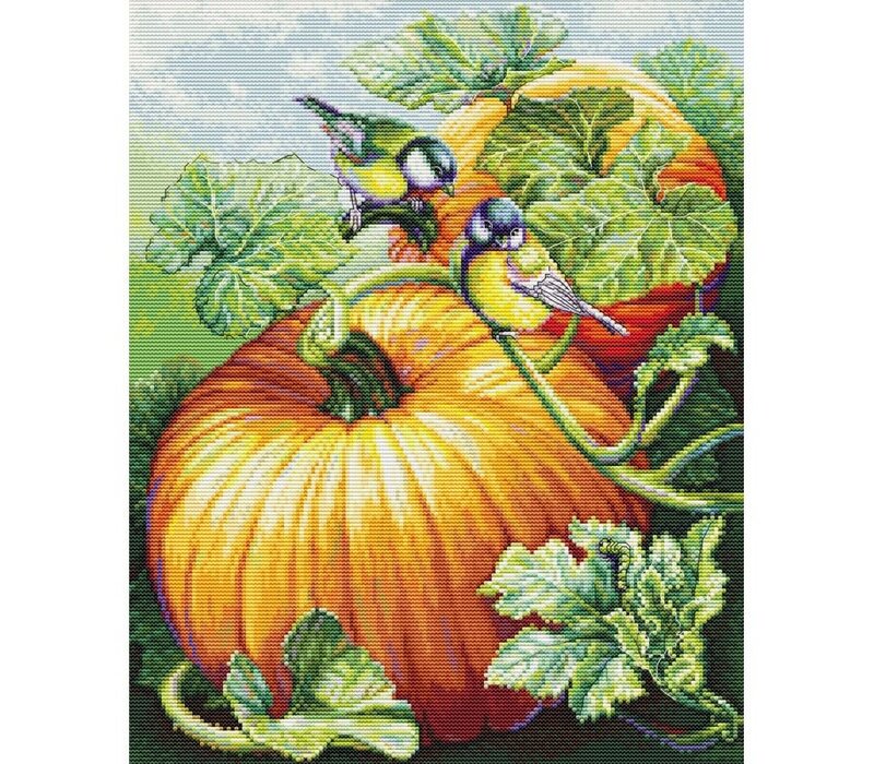 Luca-S - Birdies on Pumpkin