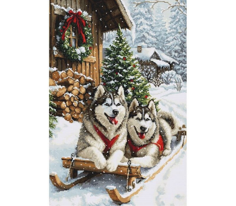 Luca-S - The Magic of the Nordic