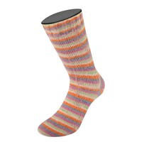 Cosy Socks Multi Stripes 154 - Donkergrijs/Grijsblauw/Fuchsia/Lichtgroen/Crème/Oranje