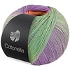 Cotonella 012