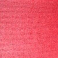 Snowfall - 04 Rosehip