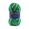 DMC Harry Potter - 304 Slytherin