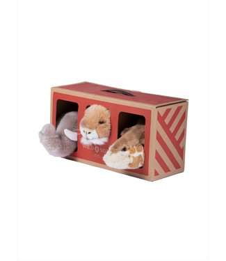 Wild & Soft Safari box mini