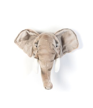 Wild & Soft Kop olifant George