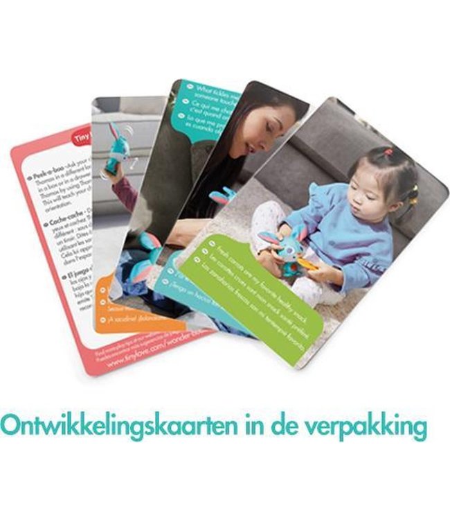 Tiny Love Tiny Love - Wonder Buddies Thomas Rabbit