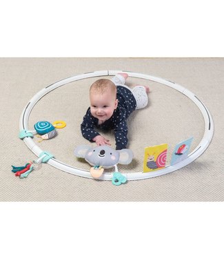 Taf Toys Taf Toys - All Around Me Activity Hoop