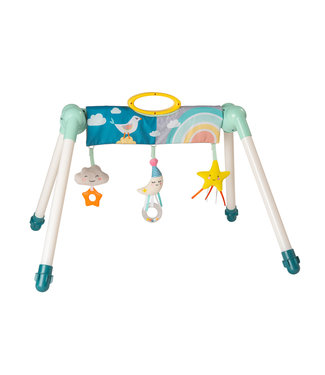 Taf Toys Taf Toys - Mini Moon Take To Play Babygym