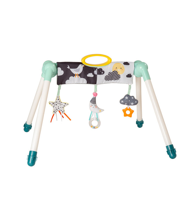 Taf Toys Taf Toys - Mini Moon Take To Play Babygym