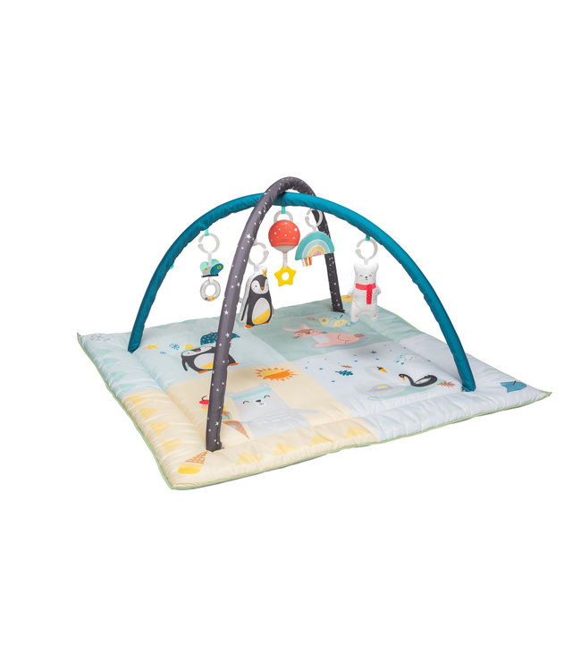 Taf Toys Taf Toys - North Pole 4 Seasons Gym