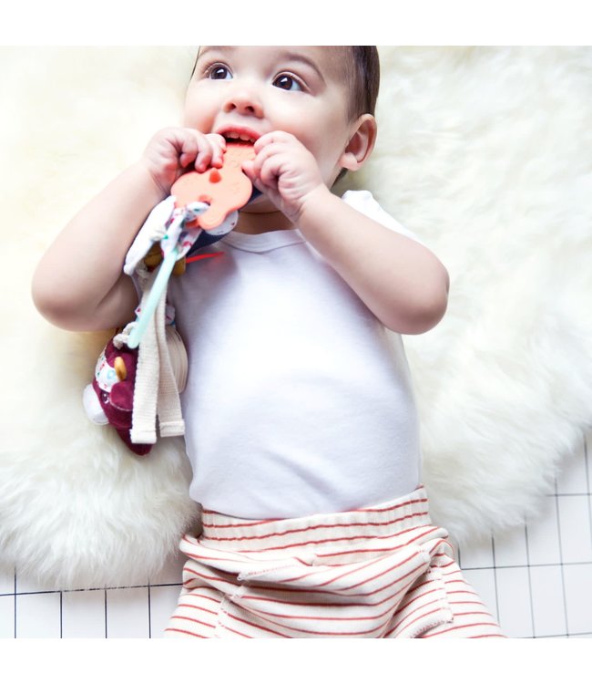 Lilliputiens Lilliputiens - Activiteitensleutelbos Boerderij