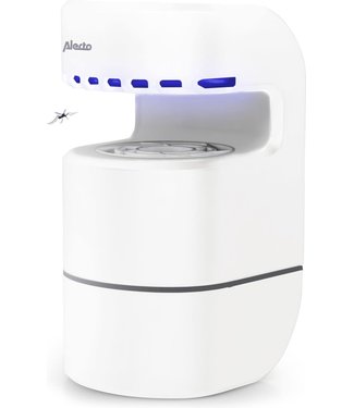 Alecto Alecto - Insect killer wit