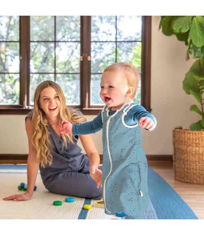 Ergobaby Ergobaby - Slaapzak On the Move (6-18 M) TOG .5 - Hugs and Kisses