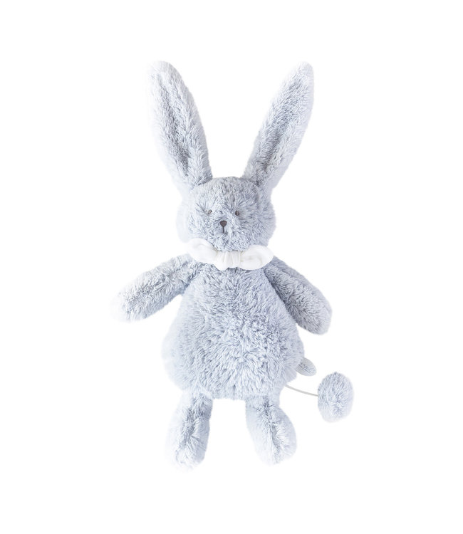 Dimpel Dimpel -  Ella Musical 25 - Light Blue