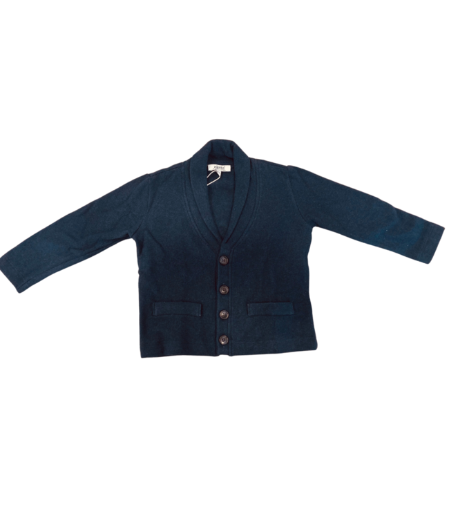 Aletta Aletta - Gillet Met V-Nek En Knoopjes - Donkerblauw