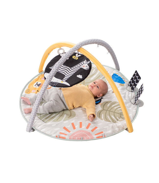 Taf Toys Taf Toys - Savannah 360° Activity Gym