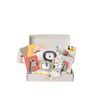 Taf Toys Taf Toys - Newborn Develop&Play Kit