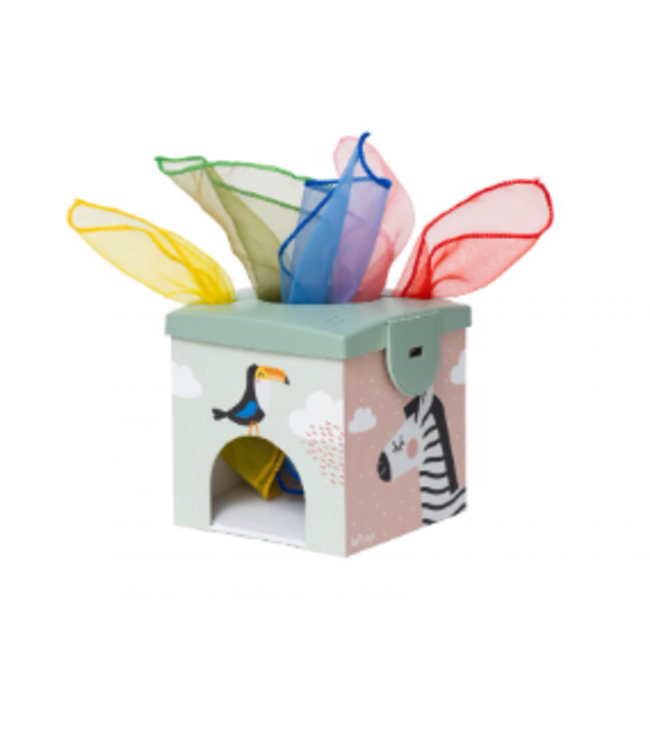 Taf Toys Taf Toys - Magic Box