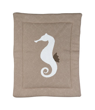 Quax Quax - Boxligger - Seahorse