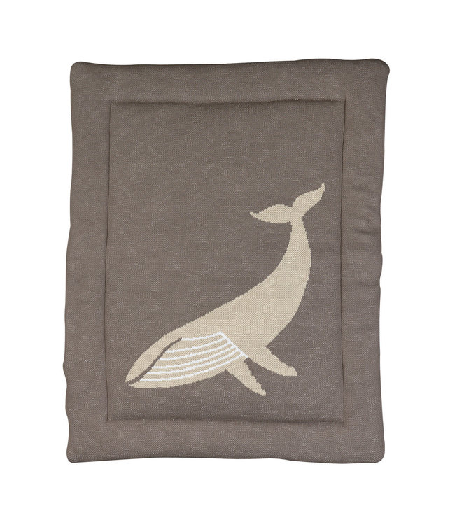 Quax Quax - Boxligger - Whale