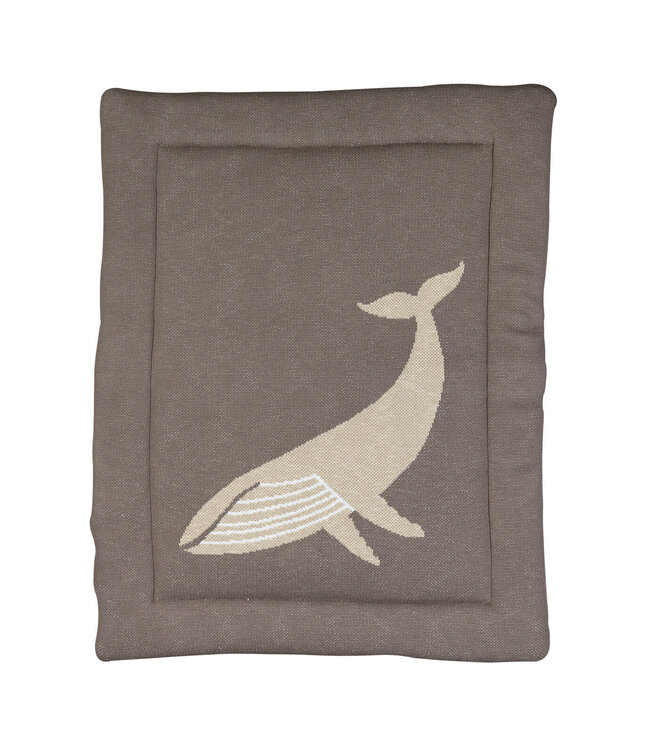 Quax Quax - Boxligger - Whale