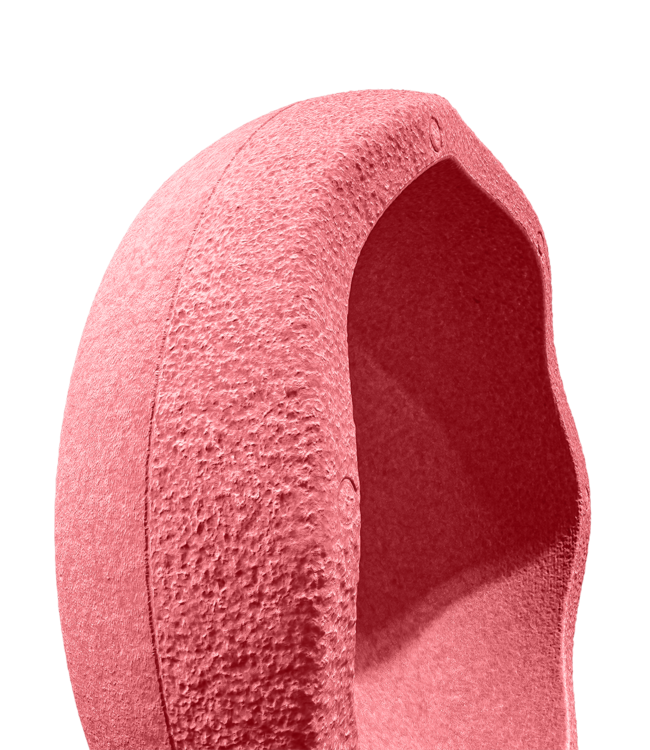 Stapelstein Stapelstein - ORIGINAL | Lichtrood | 1 Steen